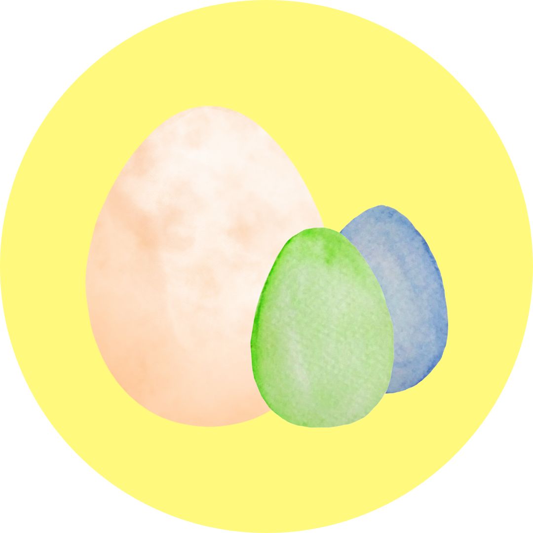 Hannes de (paas)haas (live)